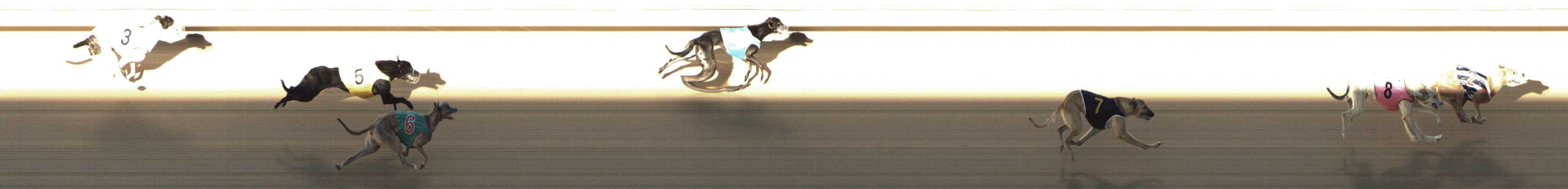 Photo finish for Shepparton Race 3