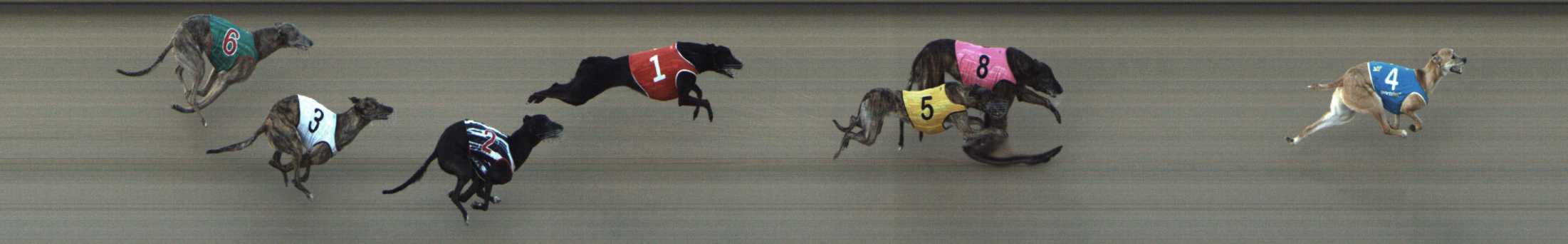 Photo finish for Shepparton Race 4