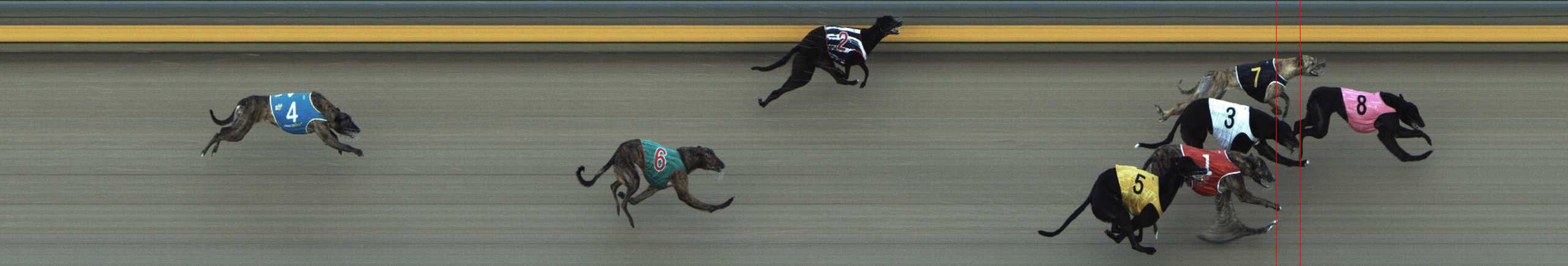 Photo finish for Shepparton Race 5