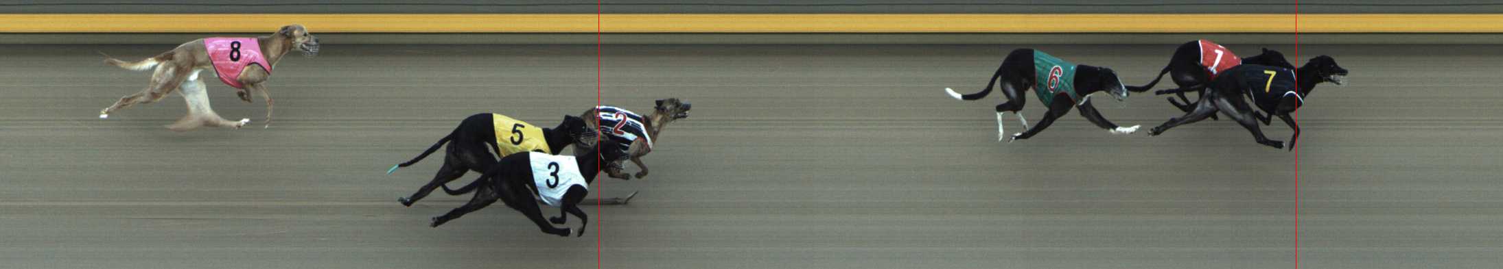 Photo finish for Shepparton Race 6