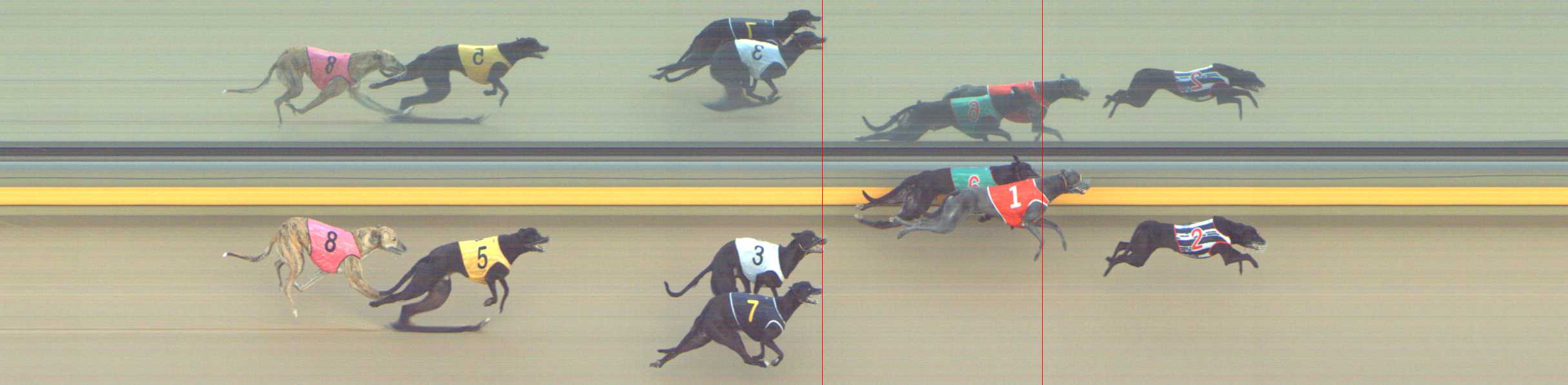 Photo finish for Shepparton Race 9