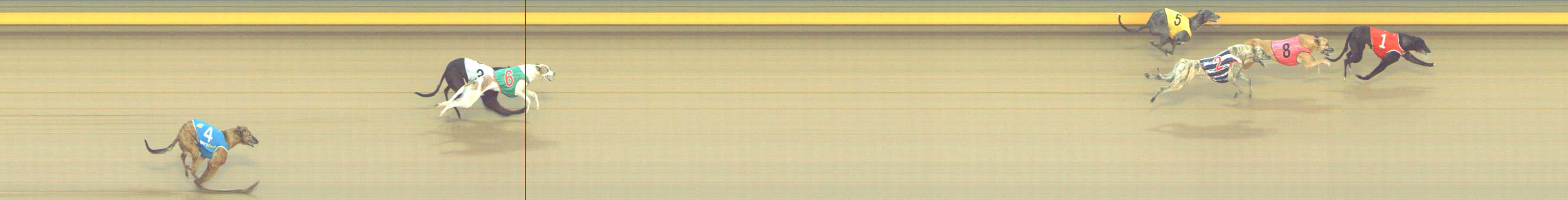 Photo finish for Shepparton Race 10