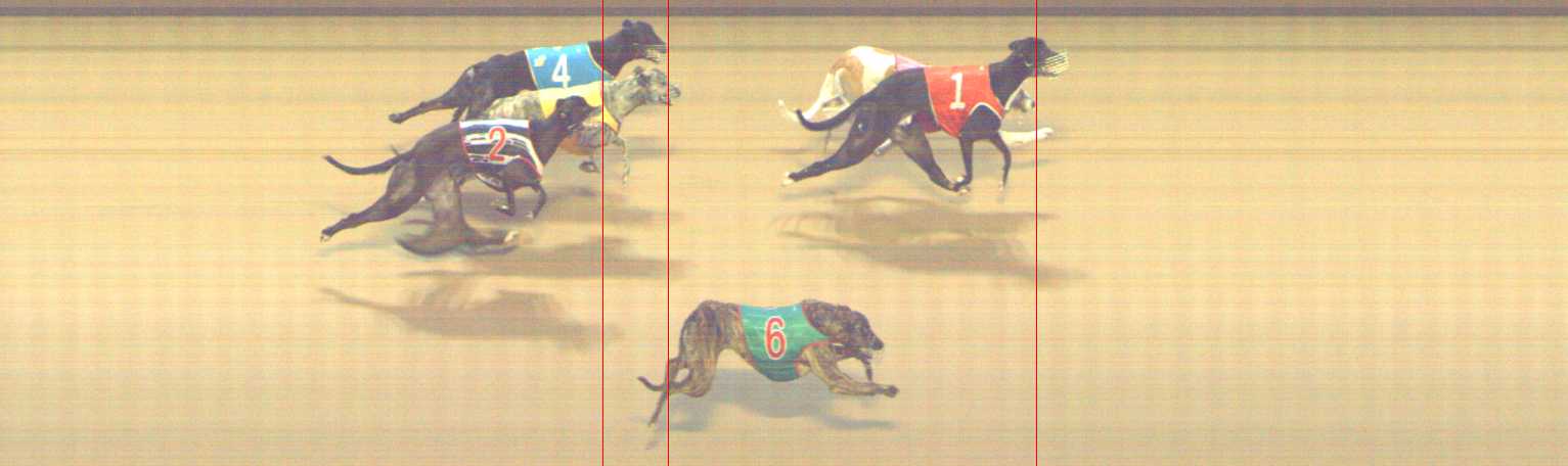 Photo finish for Shepparton Race 11