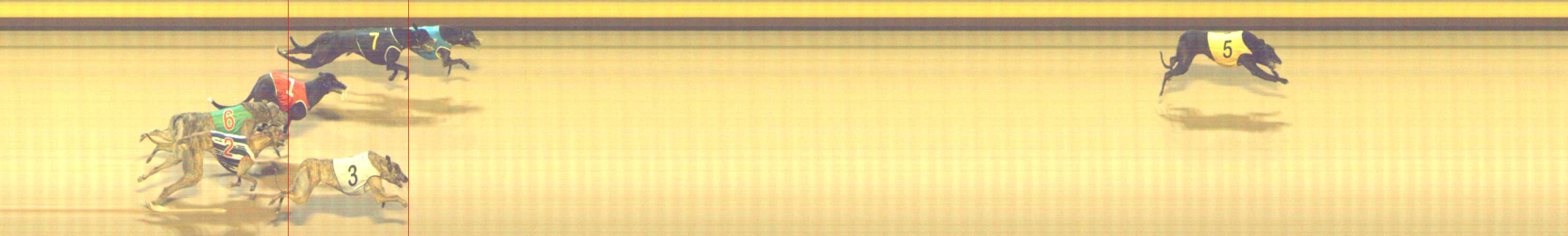 Photo finish for Shepparton Race 12