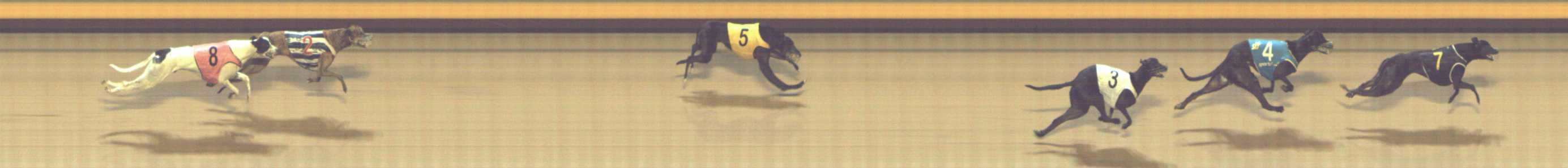 Photo finish for Shepparton Race 13