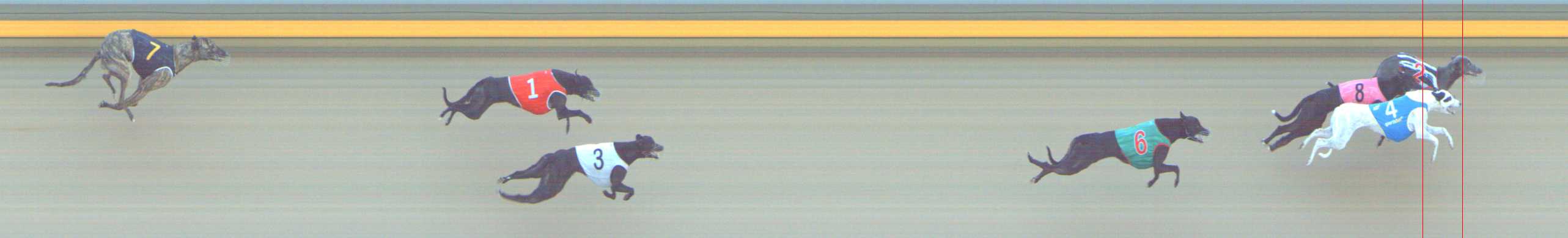 Photo finish for Shepparton Race 1