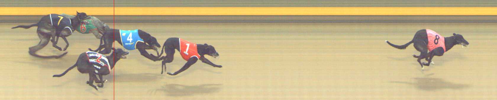 Photo finish for Shepparton Race 2