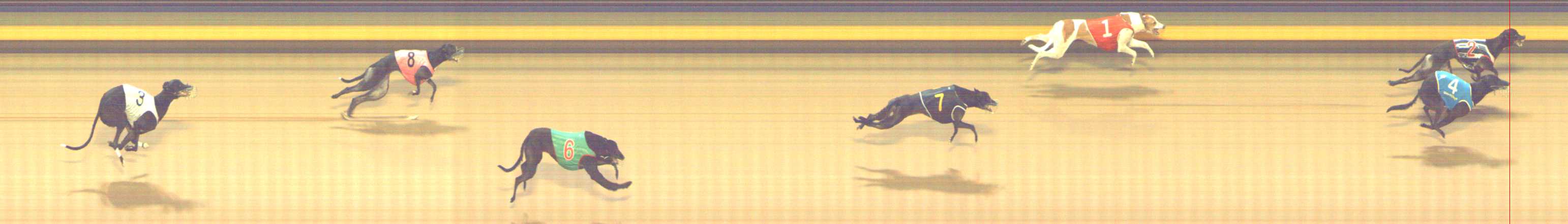 Photo finish for Shepparton Race 3