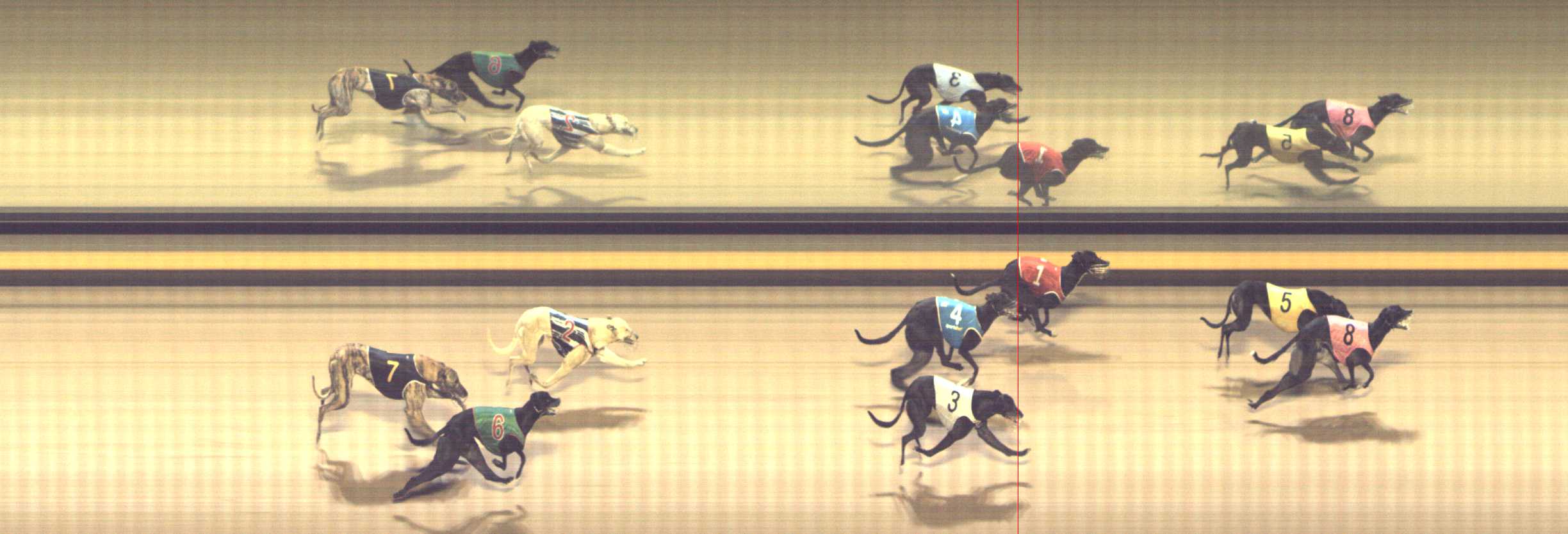 Photo finish for Shepparton Race 4