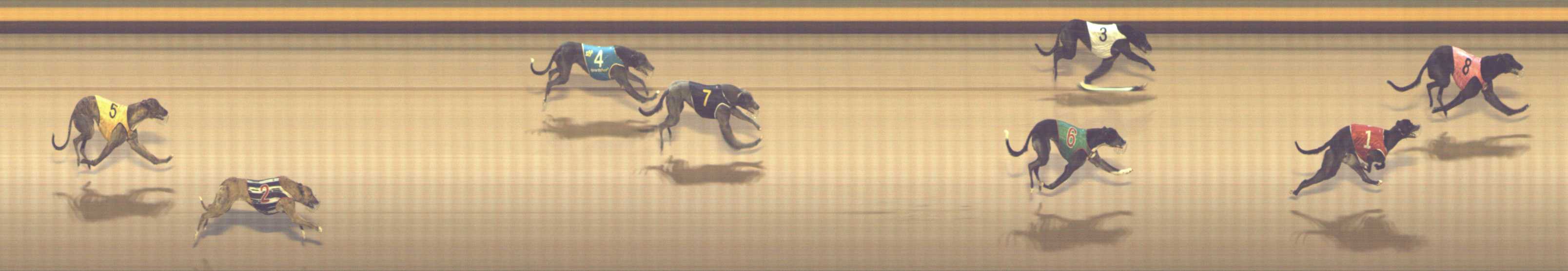 Photo finish for Shepparton Race 5