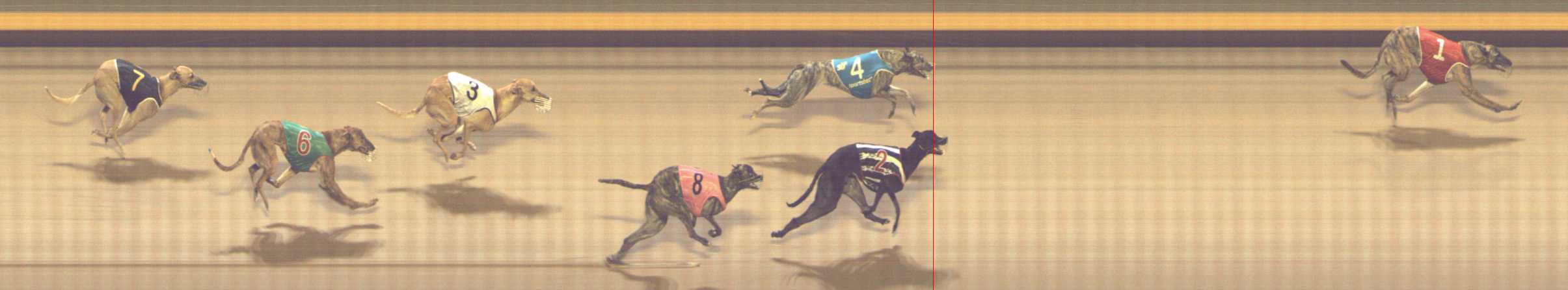 Photo finish for Shepparton Race 7