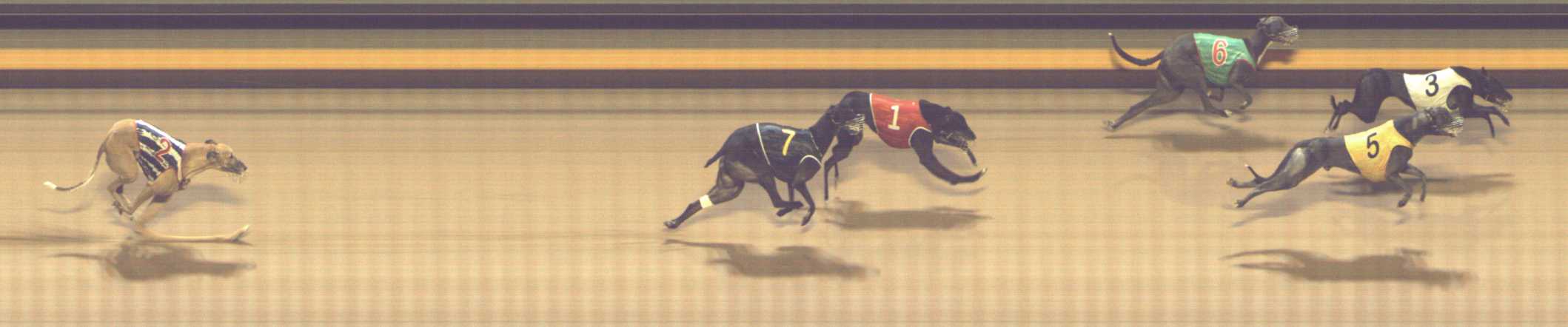 Photo finish for Shepparton Race 8