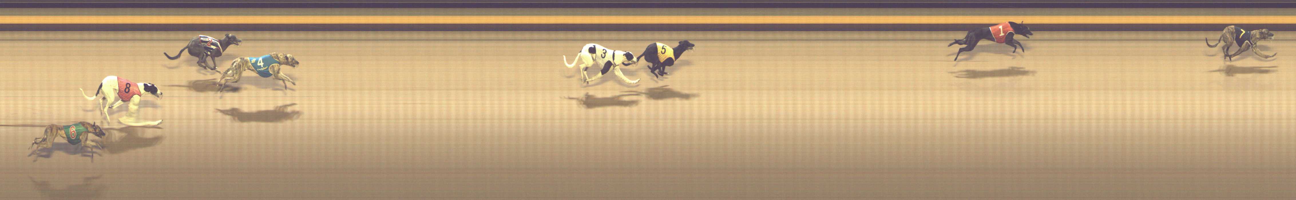 Photo finish for Shepparton Race 9