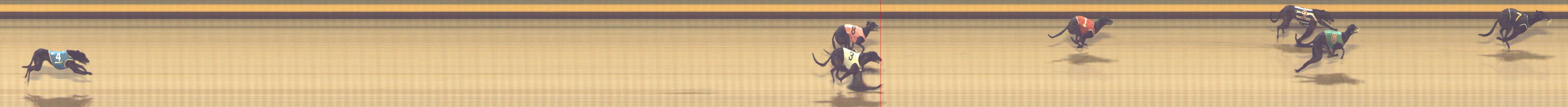 Photo finish for Shepparton Race 10