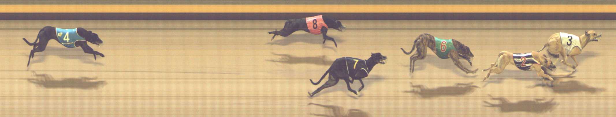 Photo finish for Shepparton Race 11