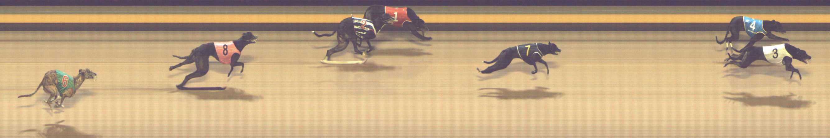 Photo finish for Shepparton Race 12