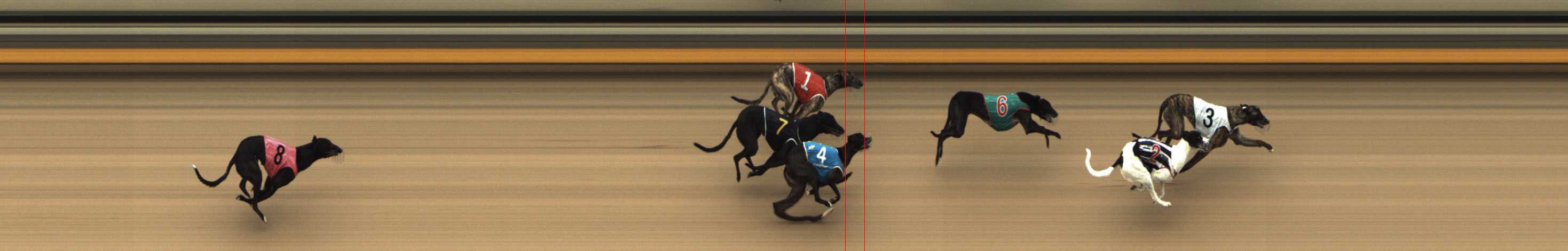 Photo finish for Shepparton Race 1