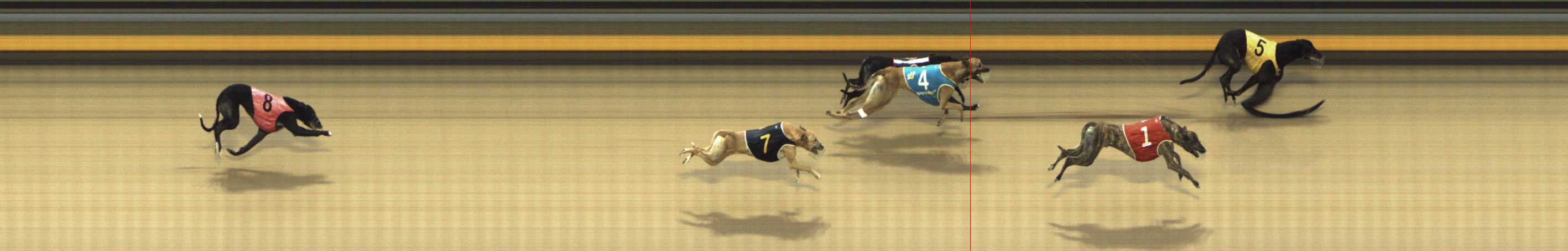 Photo finish for Shepparton Race 10