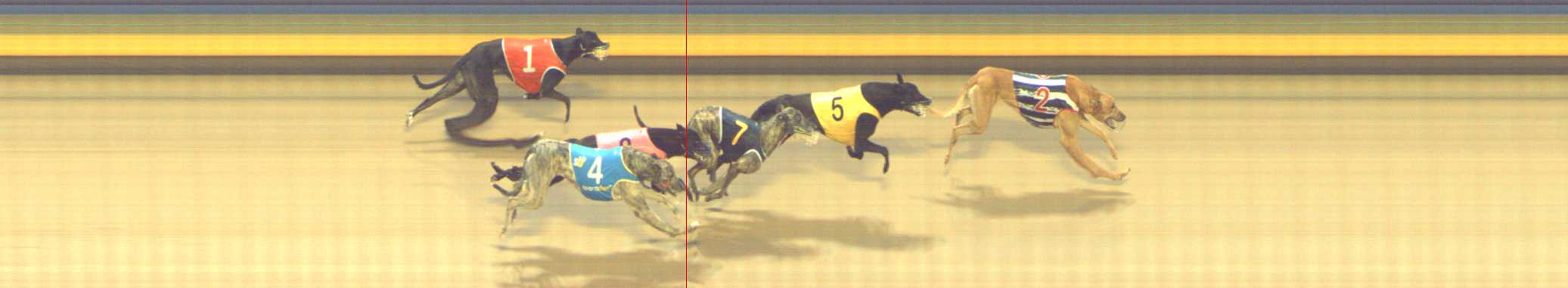 Photo finish for Shepparton Race 11