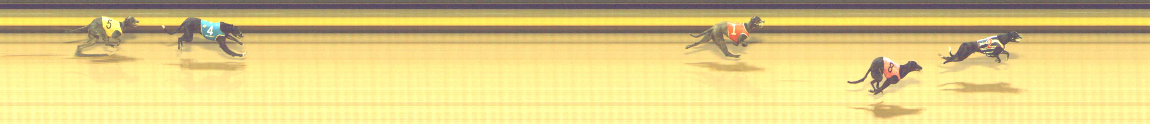 Photo finish for Shepparton Race 12