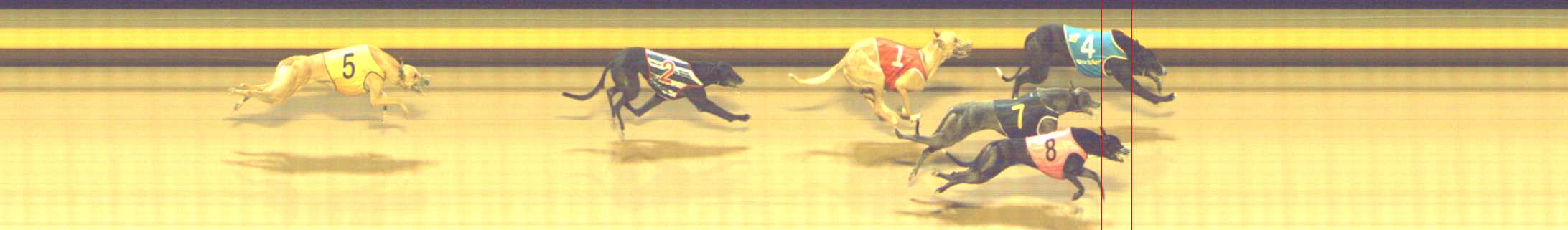 Photo finish for Shepparton Race 13