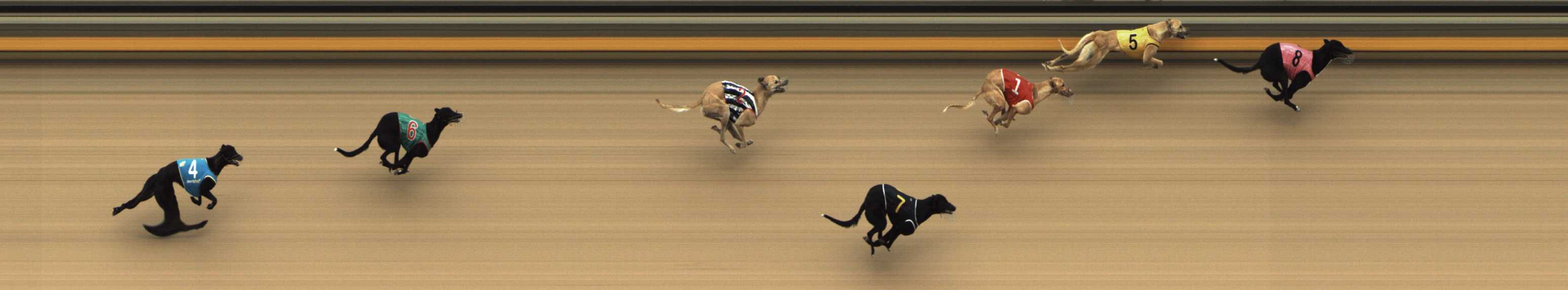 Photo finish for Shepparton Race 2