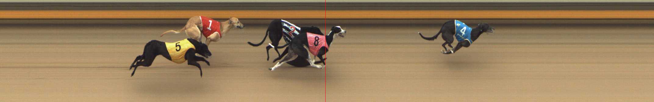Photo finish for Shepparton Race 4