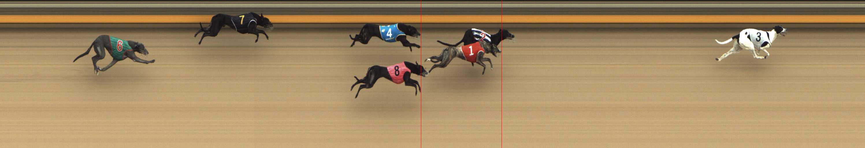Photo finish for Shepparton Race 5