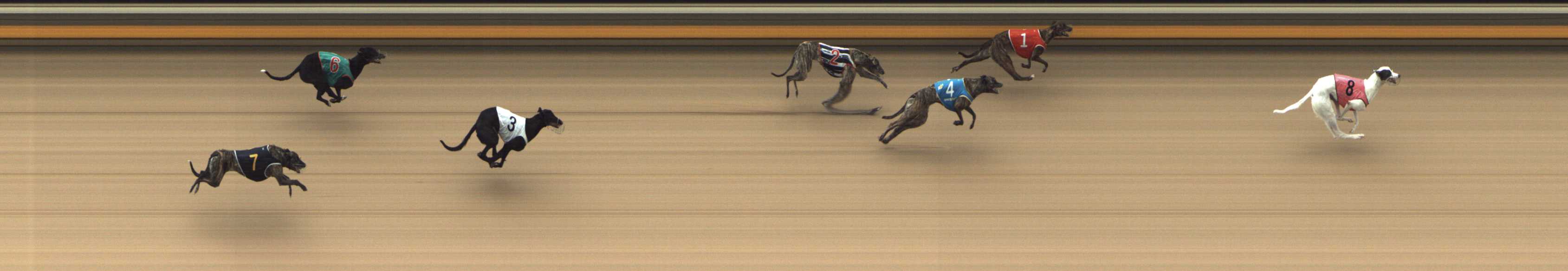 Photo finish for Shepparton Race 6