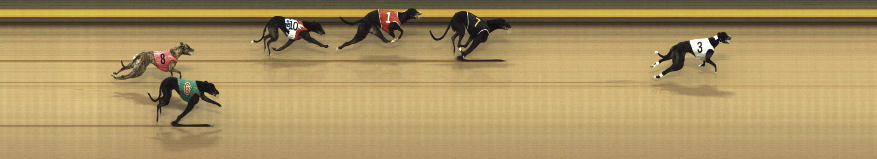 Photo finish for Shepparton Race 7