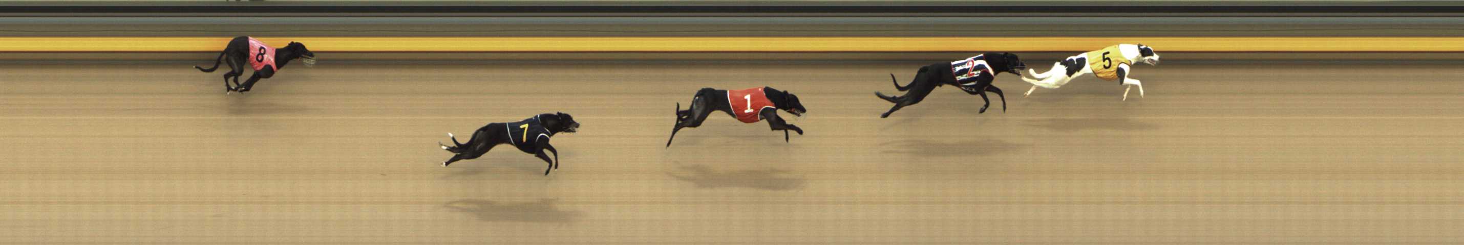 Photo finish for Shepparton Race 9