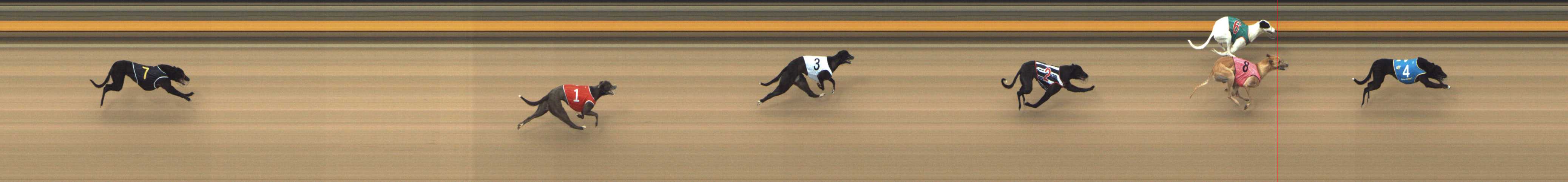 Photo finish for Shepparton Race 1