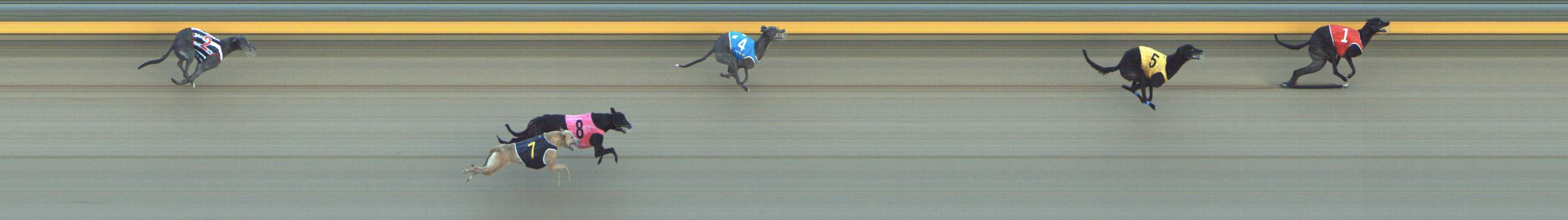 Photo finish for Shepparton Race 10