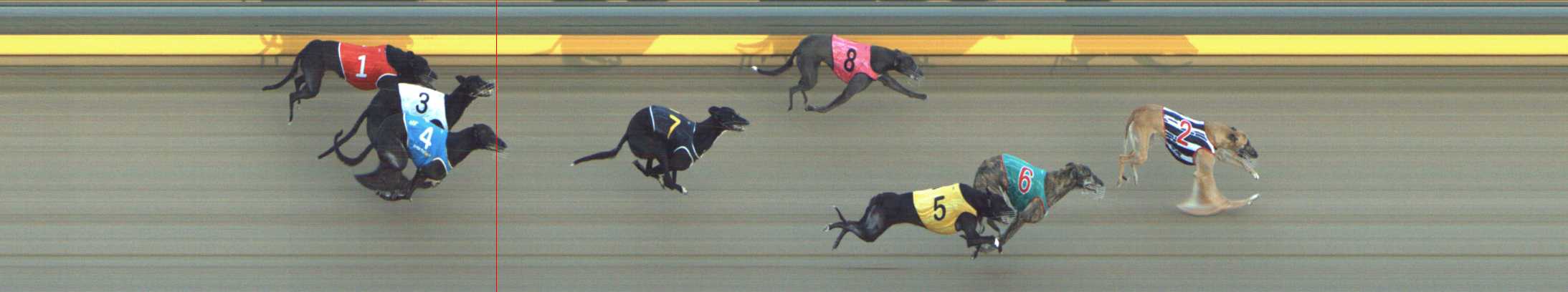 Photo finish for Shepparton Race 11