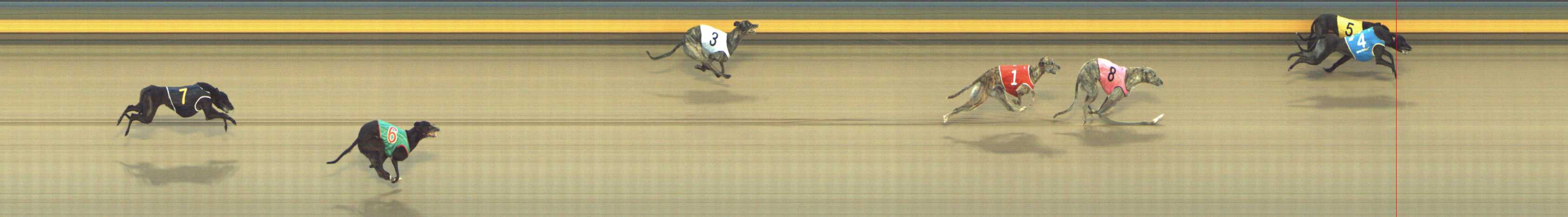 Photo finish for Shepparton Race 12