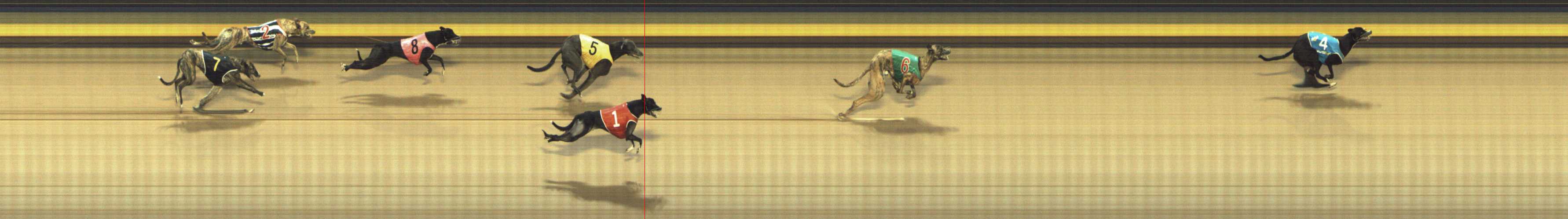 Photo finish for Shepparton Race 13