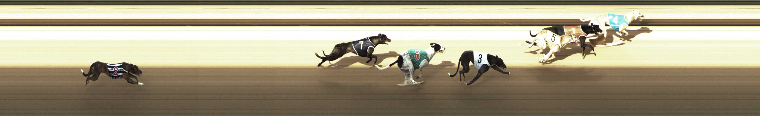 Photo finish for Shepparton Race 2