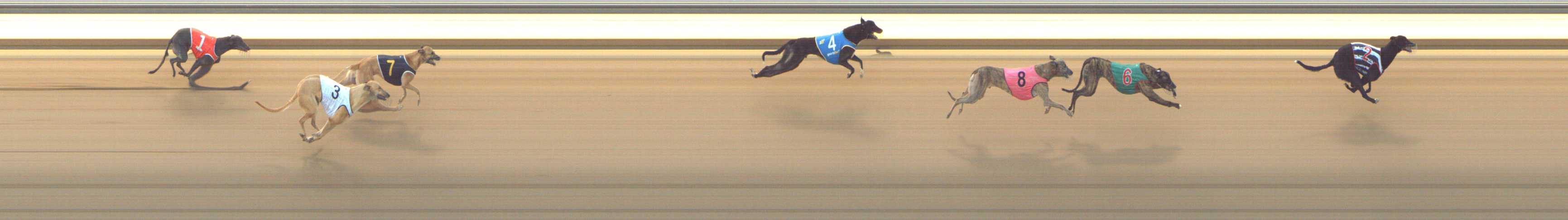 Photo finish for Shepparton Race 3