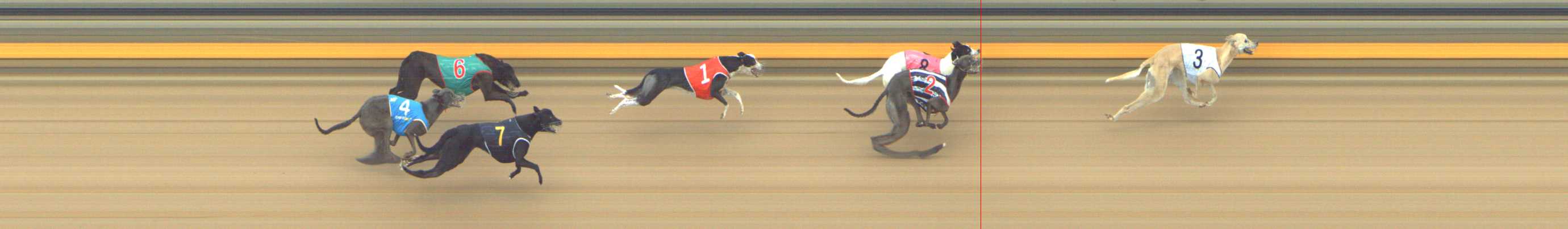 Photo finish for Shepparton Race 5