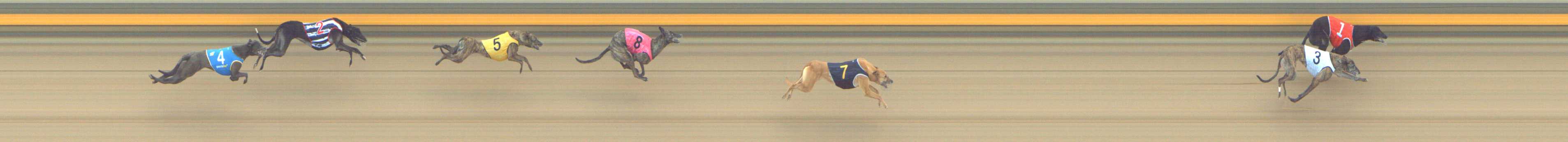 Photo finish for Shepparton Race 6
