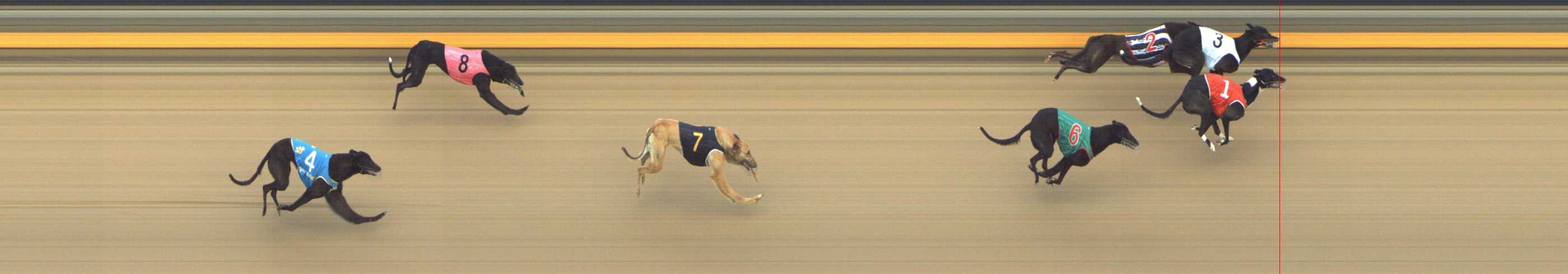 Photo finish for Shepparton Race 7