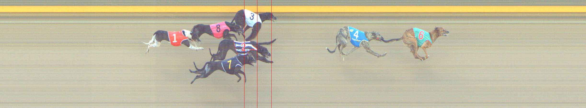 Photo finish for Shepparton Race 8