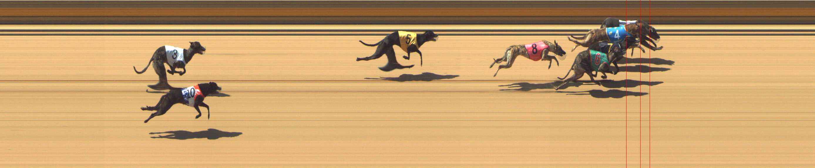 Photo finish for Shepparton Race 1