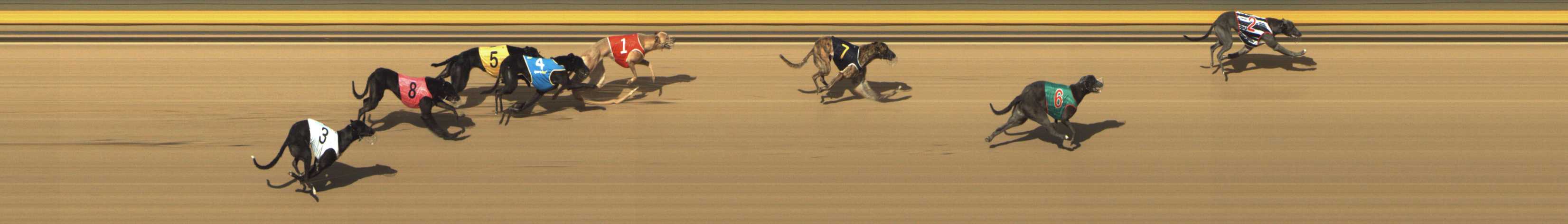 Photo finish for Shepparton Race 10