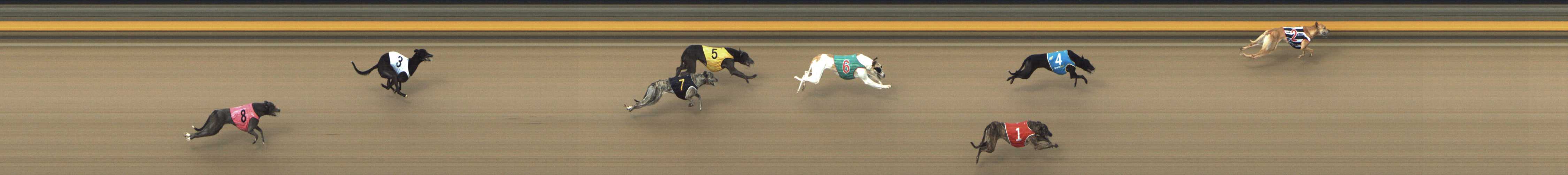 Photo finish for Shepparton Race 11