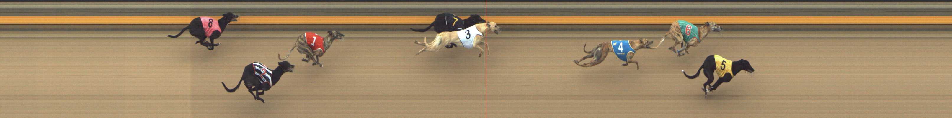 Photo finish for Shepparton Race 12