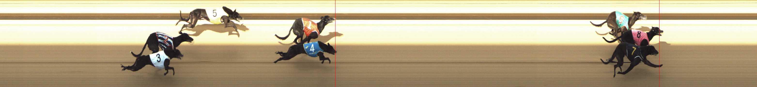Photo finish for Shepparton Race 13