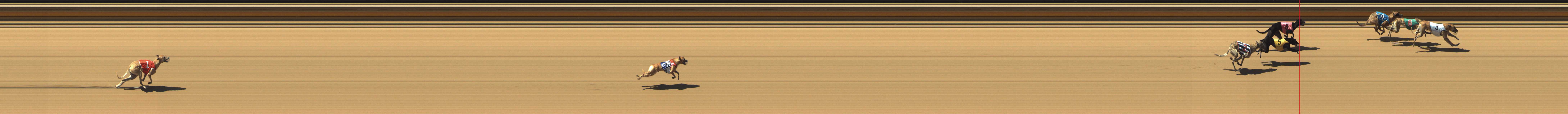 Photo finish for Shepparton Race 2