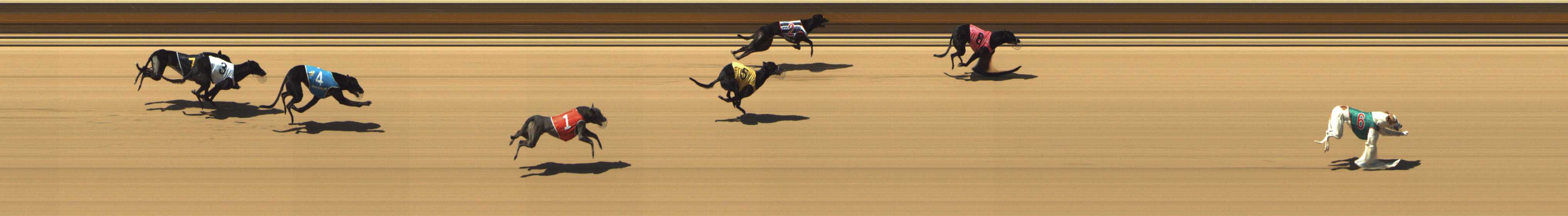 Photo finish for Shepparton Race 3