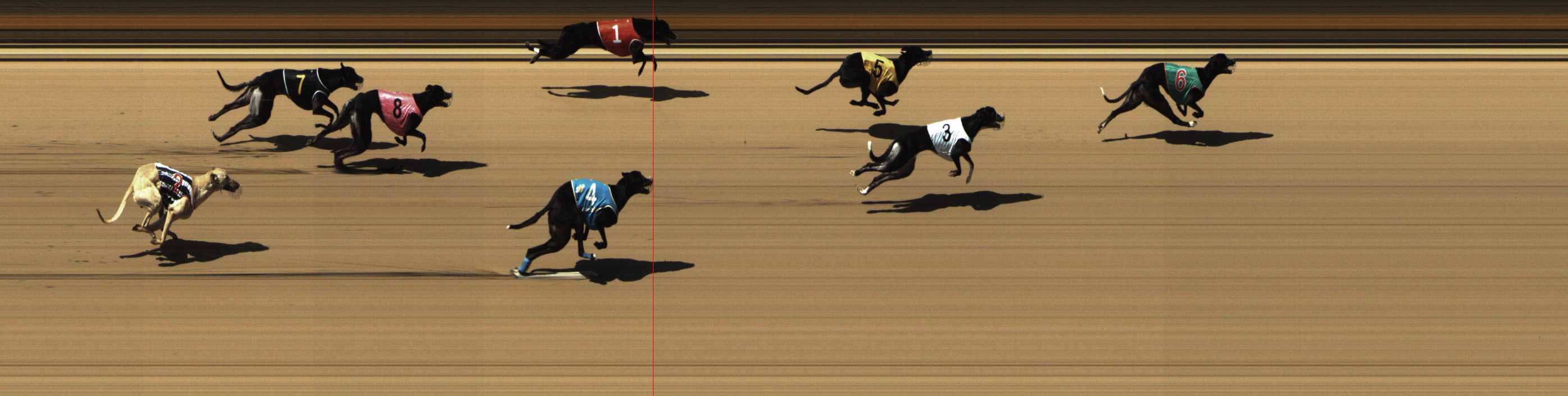 Photo finish for Shepparton Race 4